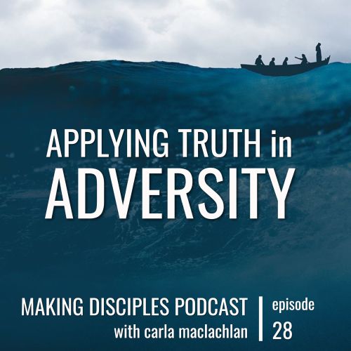 28-applying-truth-in-adversity.jpg
