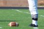 The Call On the Field Stands